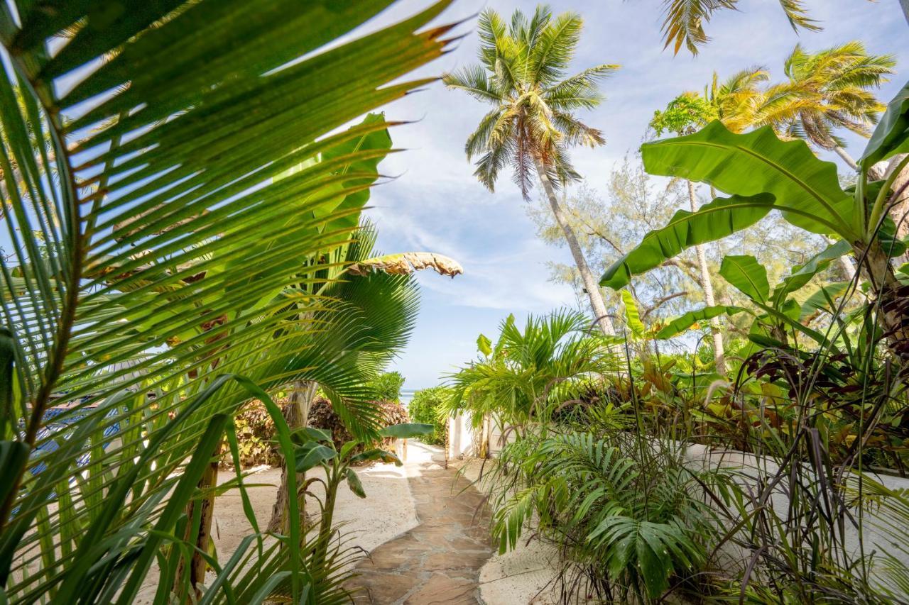 Surfescape Zanzibar Apartment Kiwengwa  Exterior foto